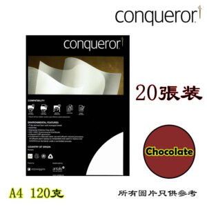 CONQUEROR - 創意紙 D-CCPA413