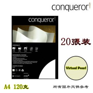 CONQUEROR - 創意紙 D-CCPA415