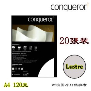 CONQUEROR - 創意紙 D-CCPA417