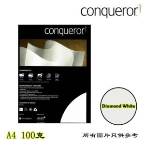 CONQUEROR - 條紋紙 D-CLPA401
