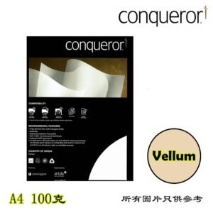 CONQUEROR - 條紋紙 D-CLPA406